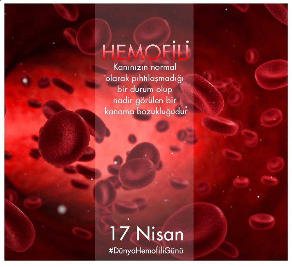 17 Nisan günü Dünya Hemofili Günü.jpeg